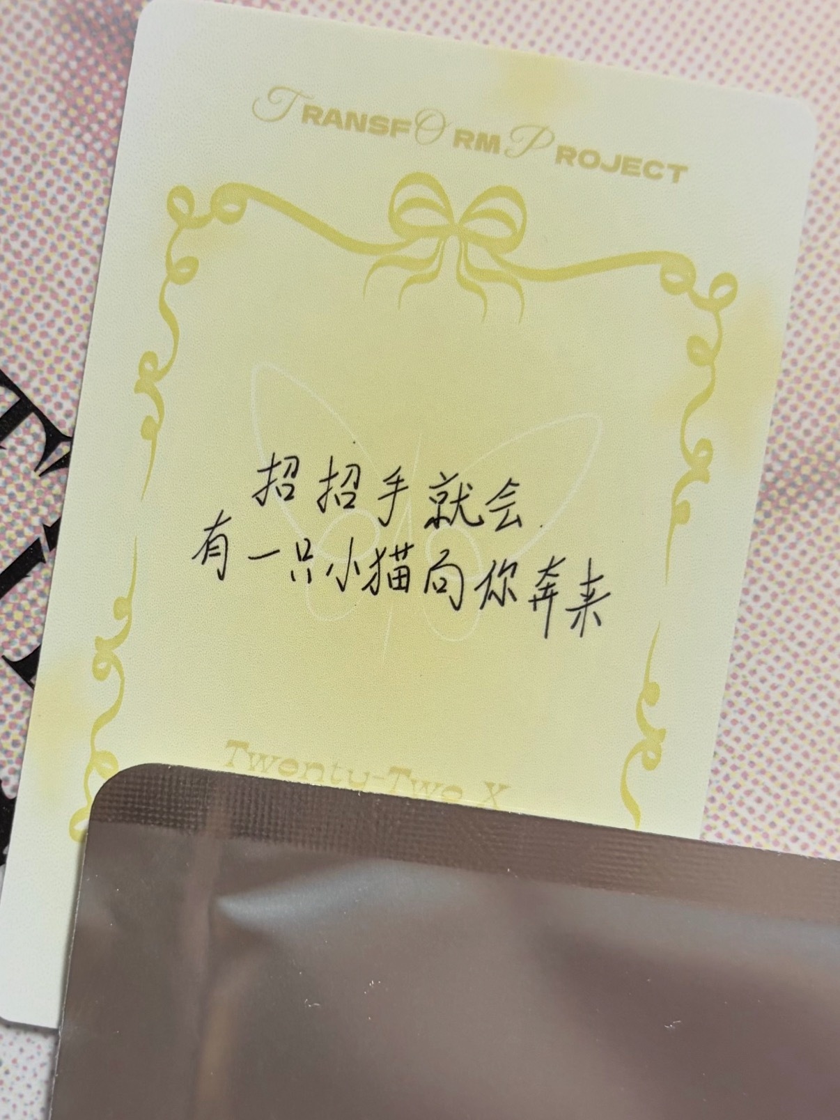 “招招手就会 有一只小猫向你奔来”朱志鑫唯一认证猫塑，下家别偷了！！！！！朱志鑫