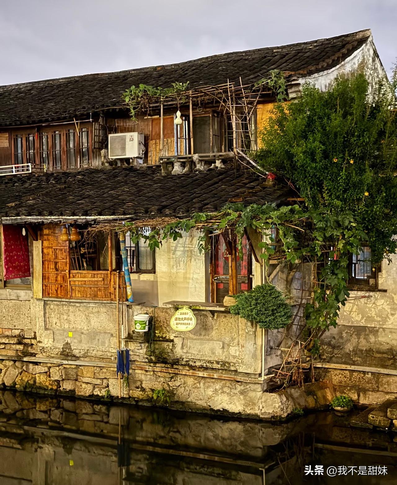 葫芦娃爷爷承受不住压力把葫芦都剪了[流泪]
下午去，边上老头，保安都在嘀咕，邻居