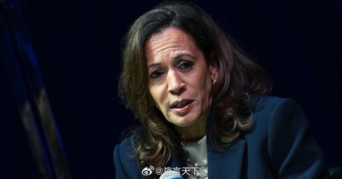 大金主不愿意像2024年那样为Harris投入竞选资金 Harris如果考虑参加