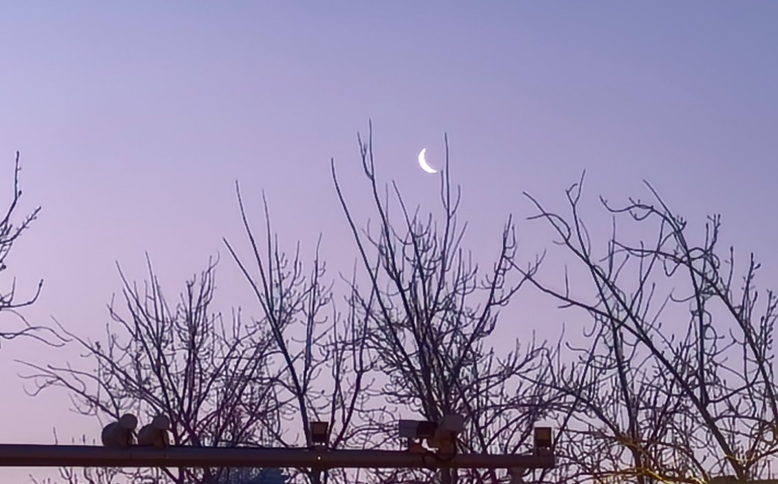 迎着早晨的月亮，出发。早班飞机