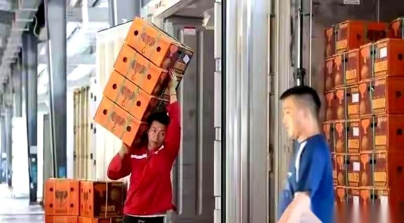 4万吨榴莲，在码头堆着，烂了。
就这么烂了。
这画面什么感觉？就感觉菲律宾那个防