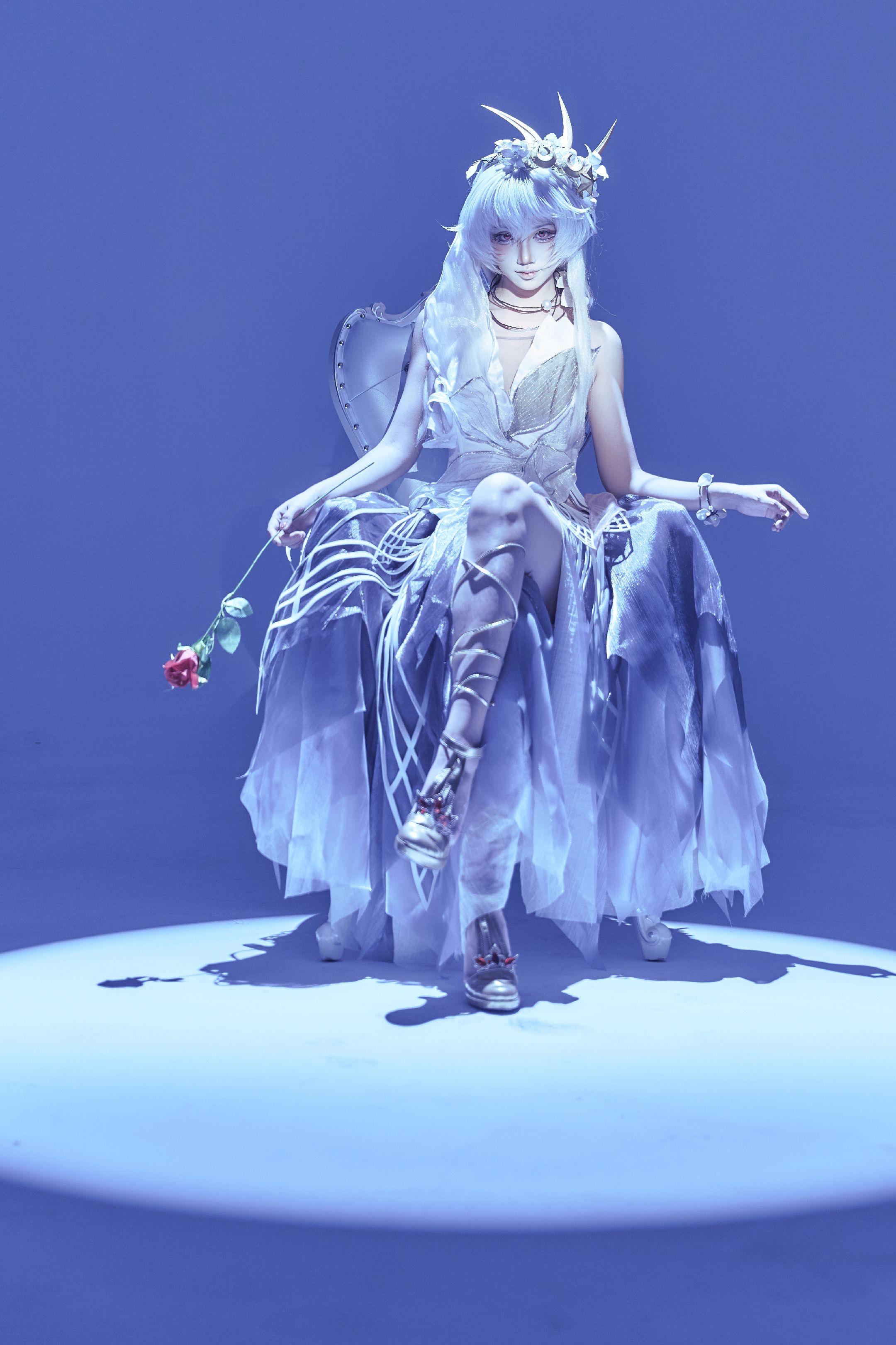 音律幽灵鲨。      摄影