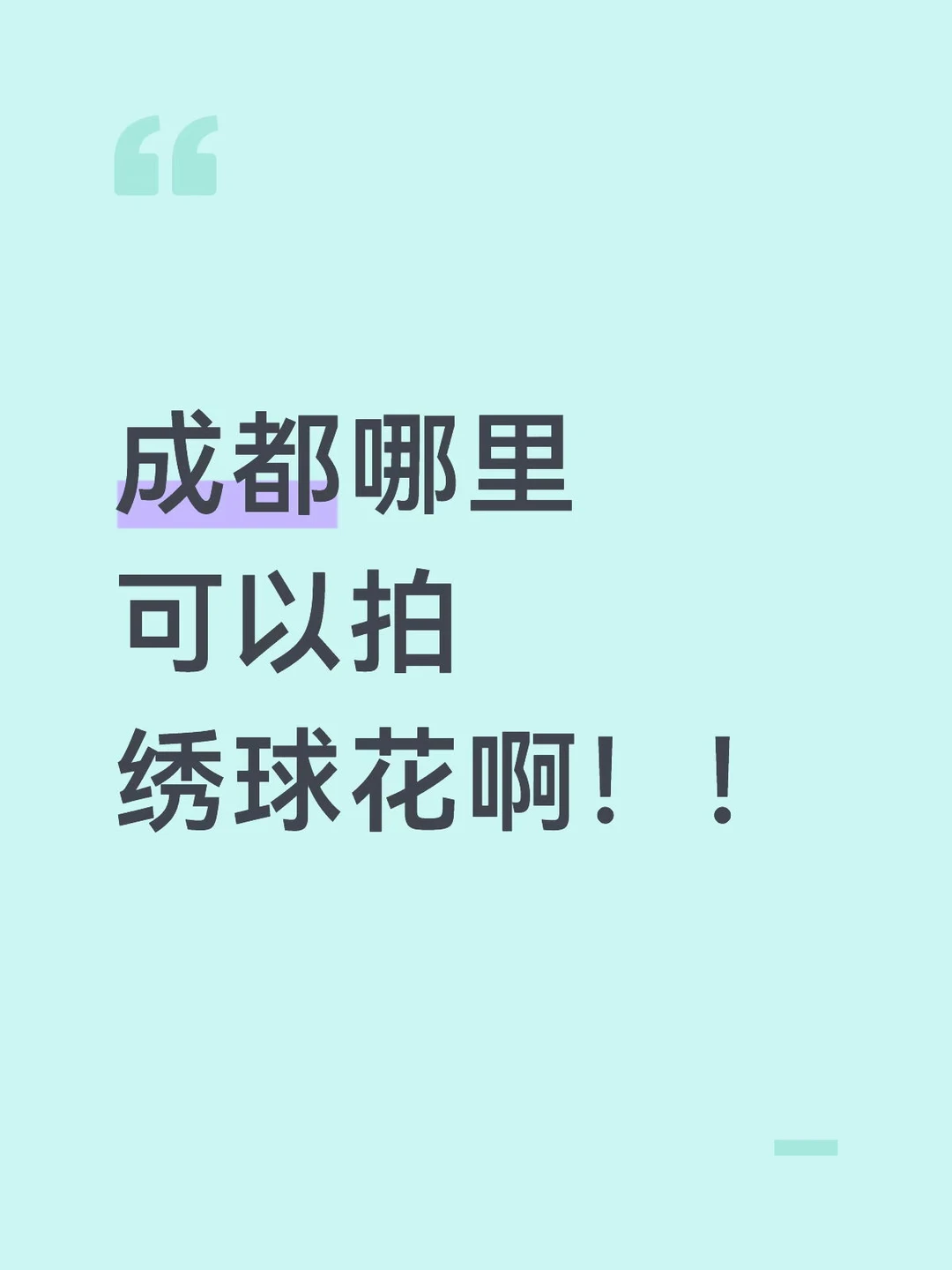 成都哪里可以拍绣球花啊？？？