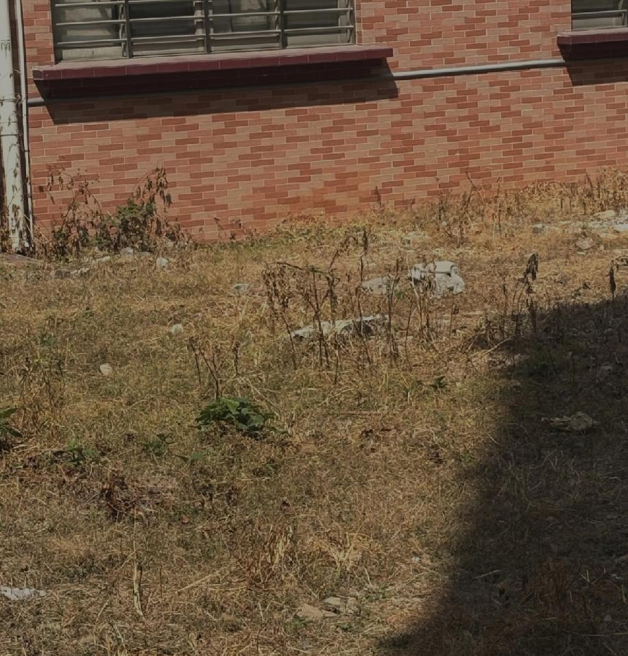 老家常说“多子多福”，可看着邻居有五个儿子的大爷，晚年过得那般冷清，这话听着就格