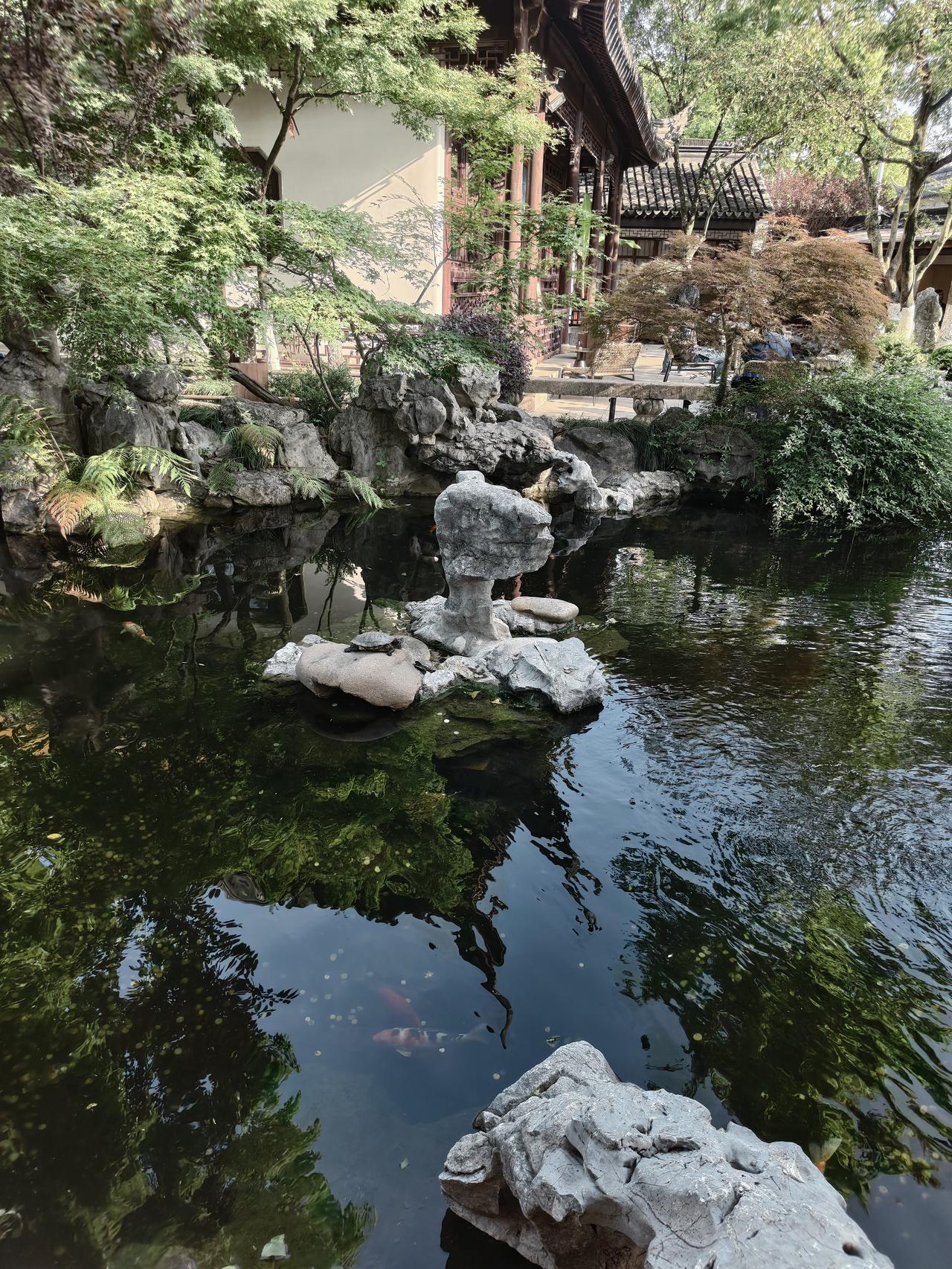 石台上、水面下，
乌龟或闭目晒背，或缓缓划水。
一静一动，一鱼一龟，
恰似禅家“
