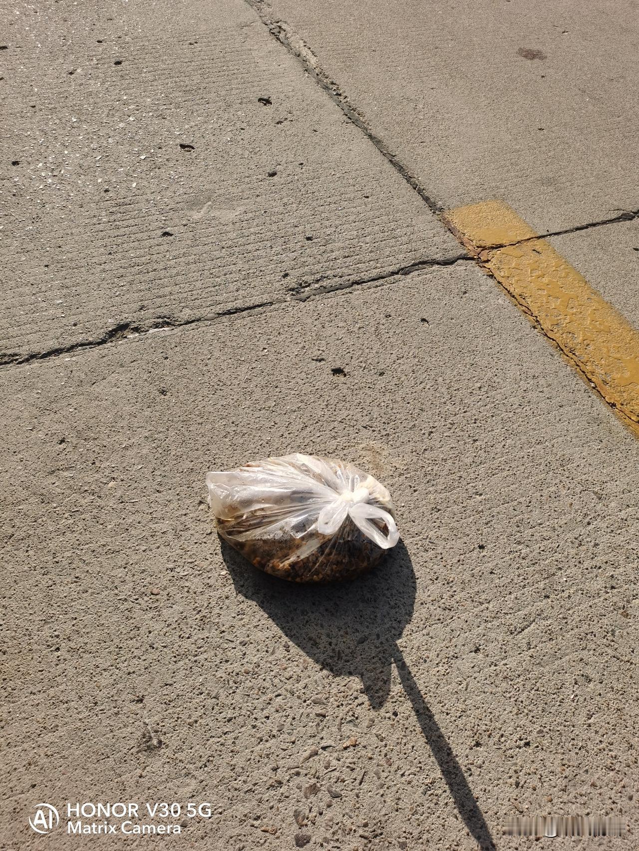 鲁西南一带有个坏习惯，就是很多人喜欢把熬过的中药渣扔在路中间，希望被路过的人碾压