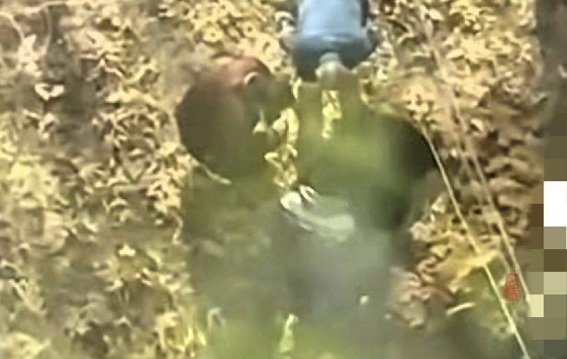 离谱！小区绿化带竟被埋骨灰盒，业主膈应到睡不着
 
这事儿真的刷新三观！
 
河