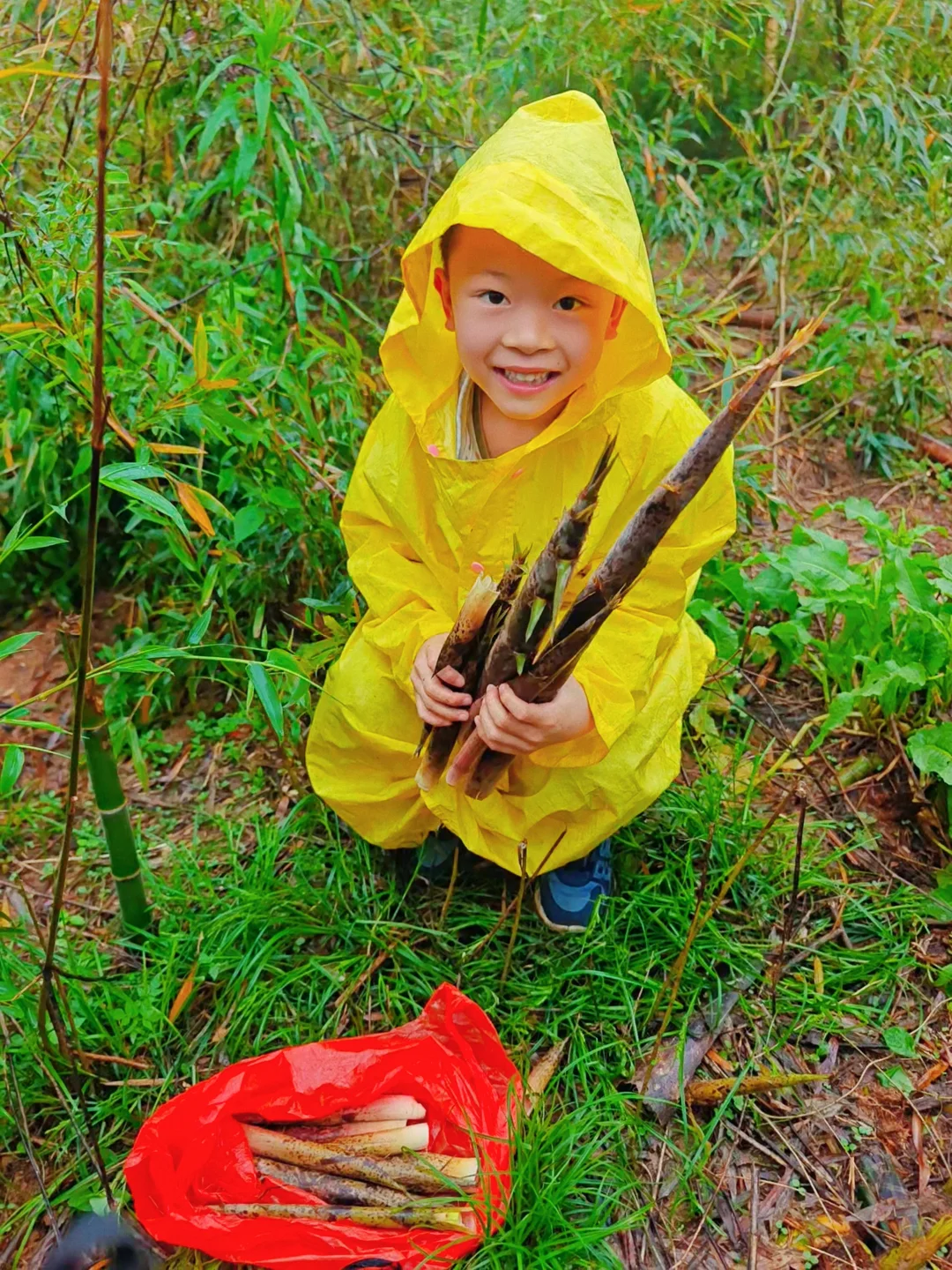 南昌打野🎍雨天太适合挖笋啦！