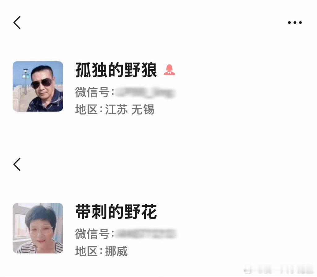 老伴我听年轻人说这叫情头