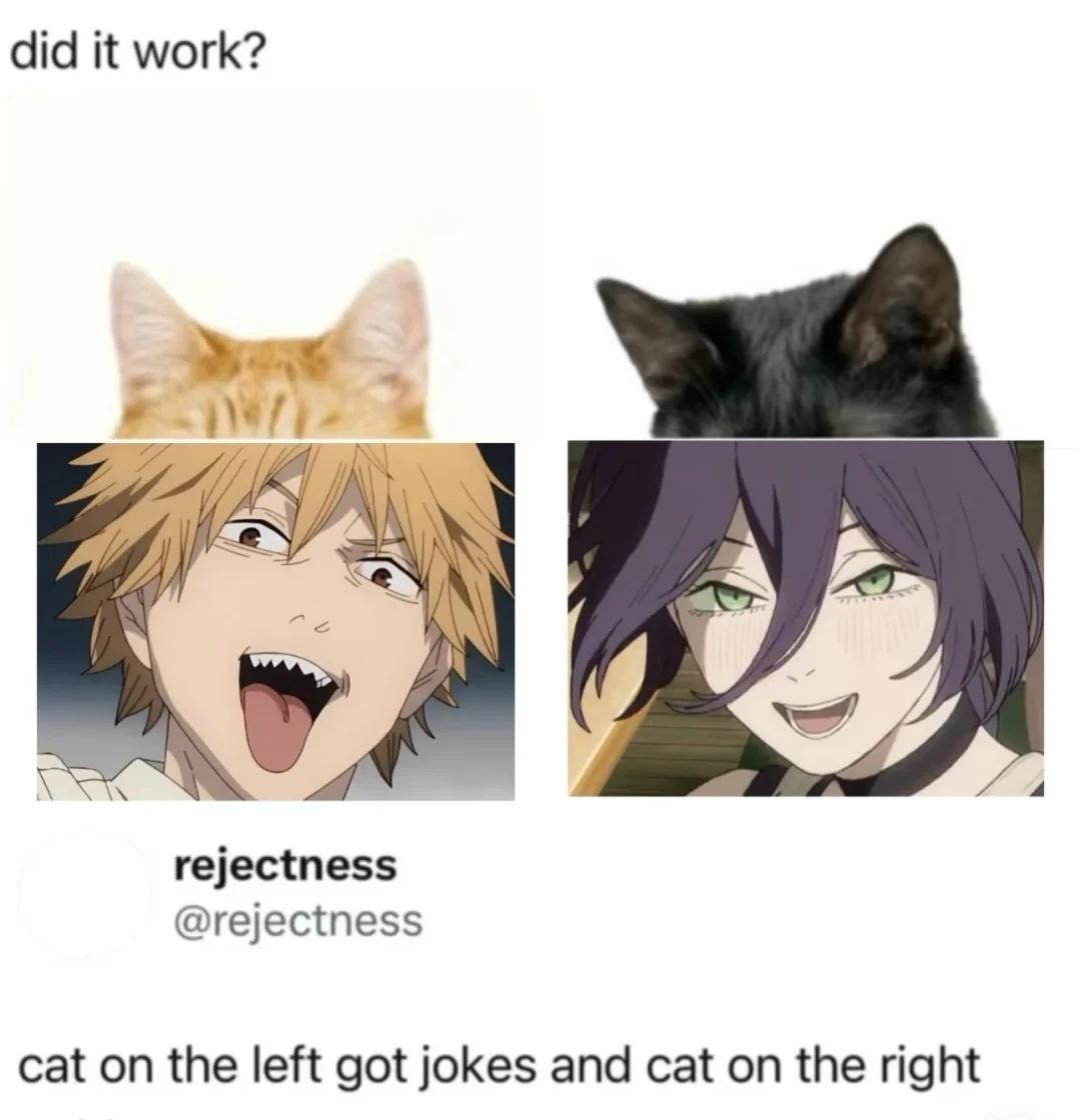 自存梗图
梗图 电锯人蕾塞