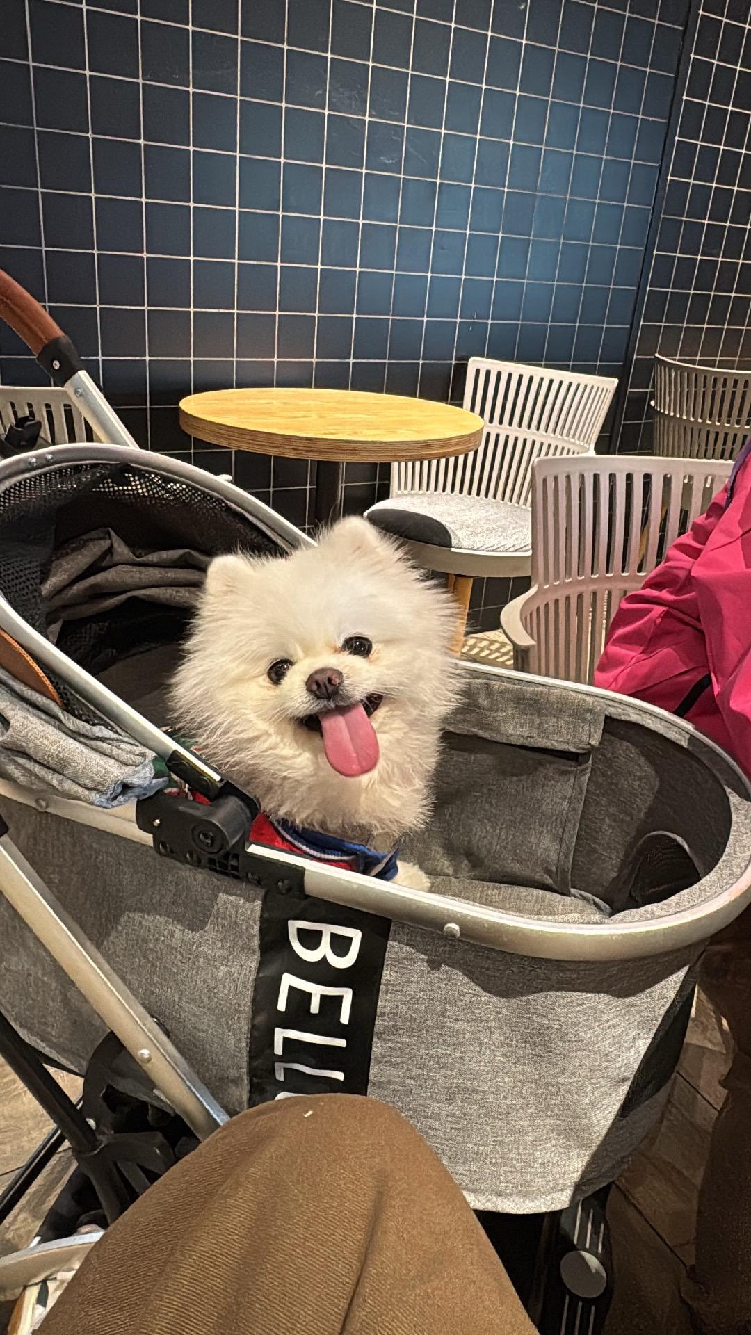 日子长久长久幸福小有小有