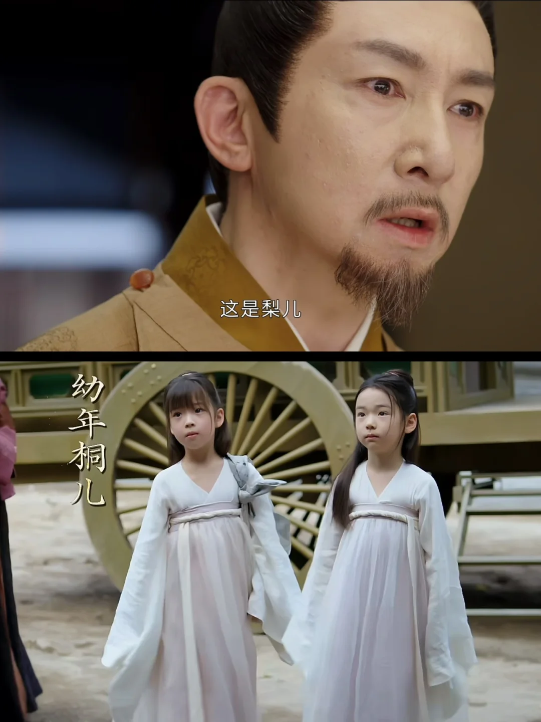 当年他看着梨儿爬上马车，却不知道她临死前