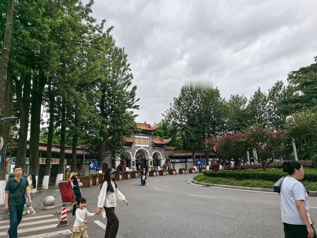 昆明这个城市适合休闲养老，安逸得很，处处都是景，不论是天气，四季开不败的鲜花，美