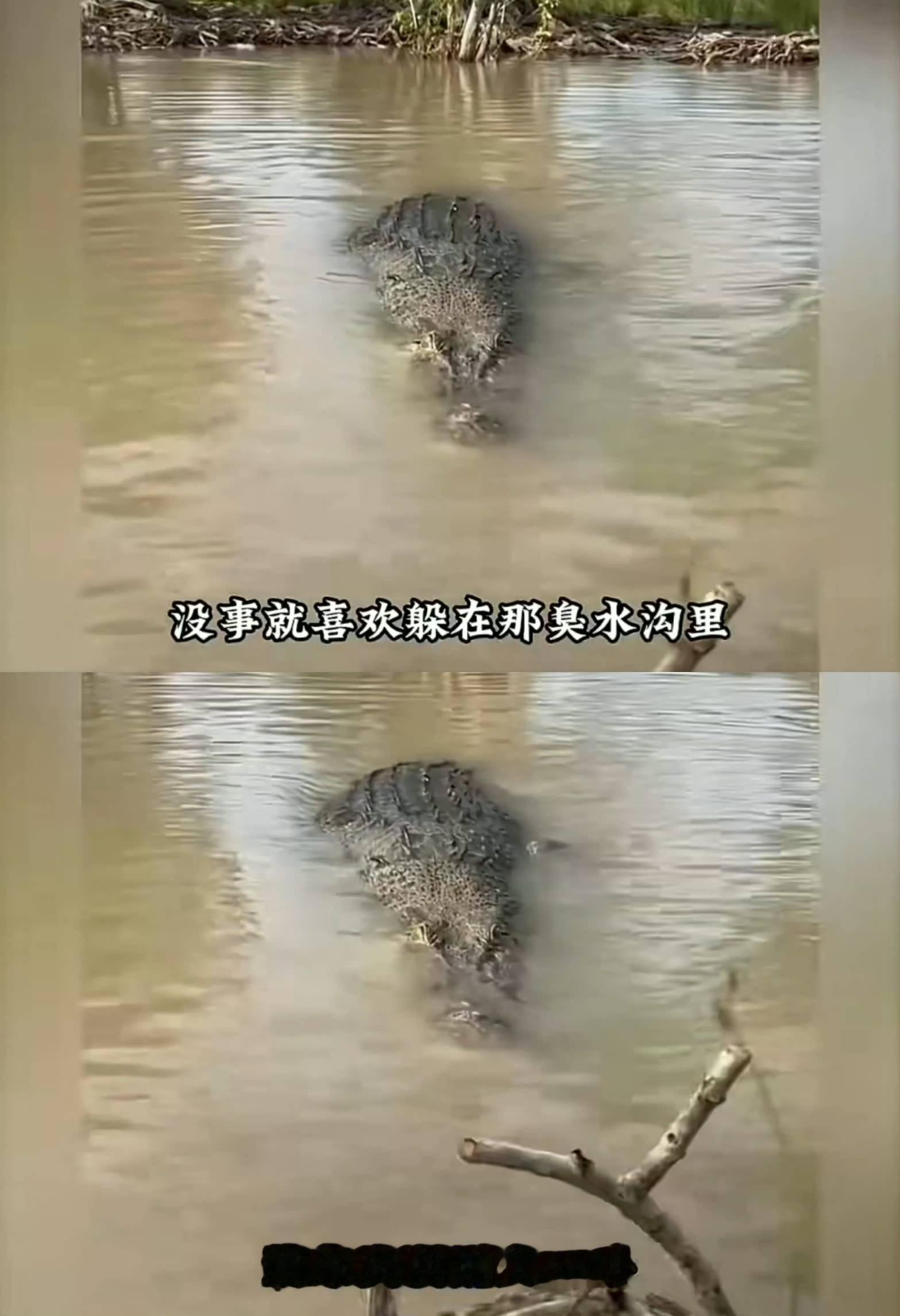 分享图片 
