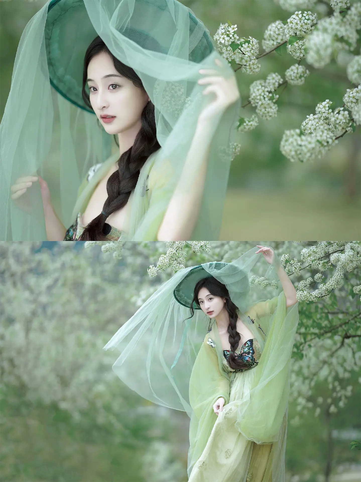 犹春于绿，梨花未雪。