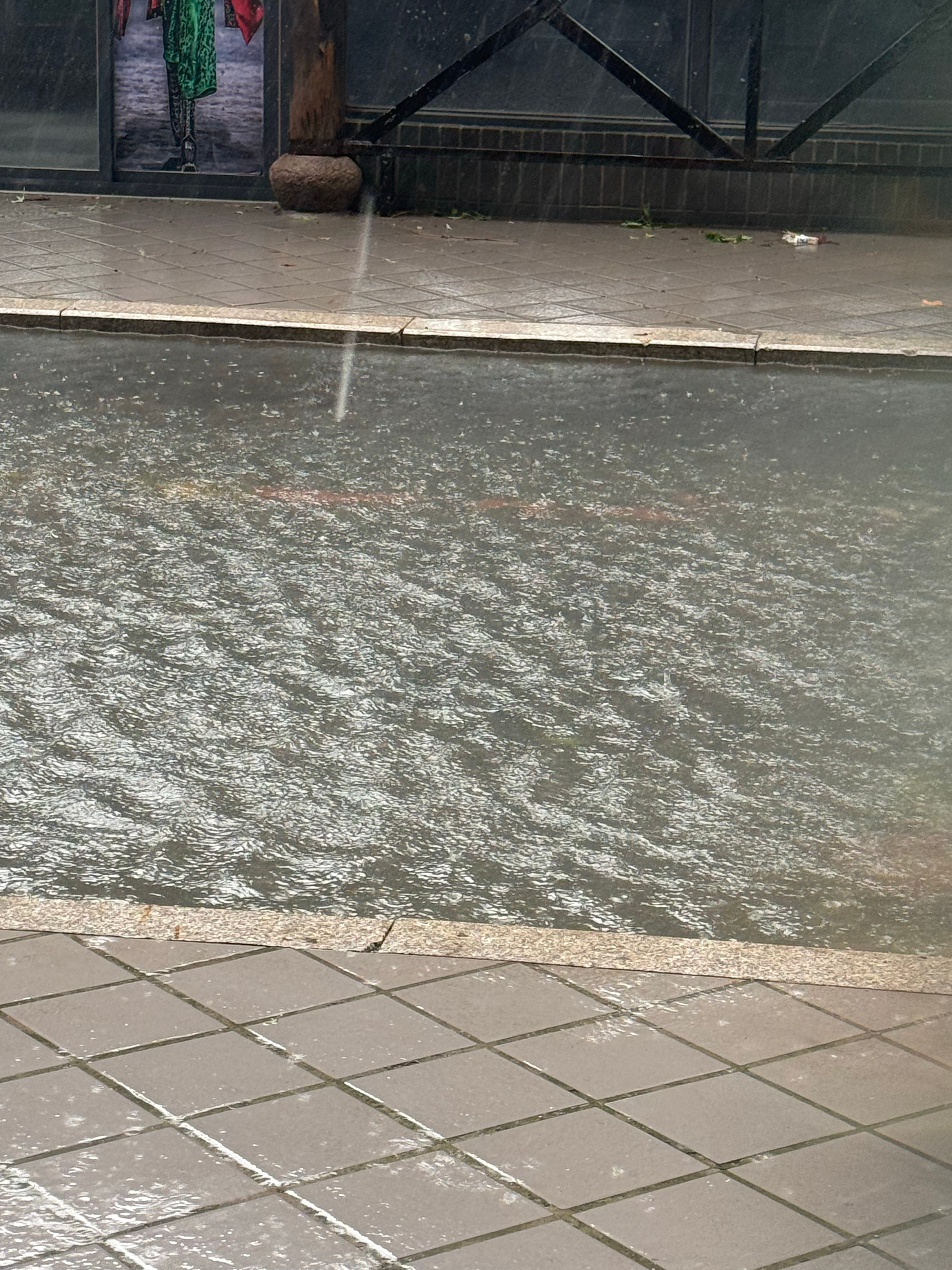 都怪巴威购物节！我低估白海豚了傍晚给我吹的人都没了，雨还贼大。图二也不是小河，是