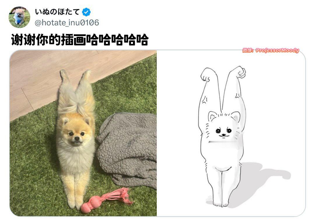 看起来很能打 