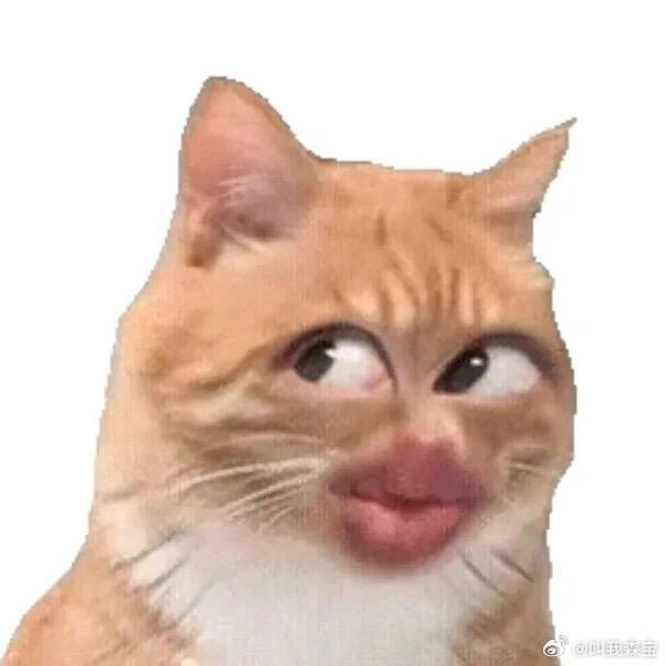 北京下雪了嘛？朝阳区目前没下北京下雪