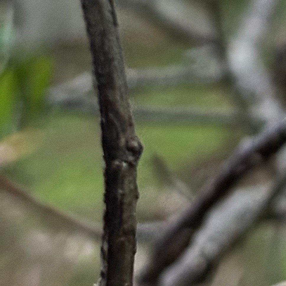 阳光信用  阳光信用 每日一善 「自己成为太阳」﹐如此﹐一切黑暗都会消失。 ……