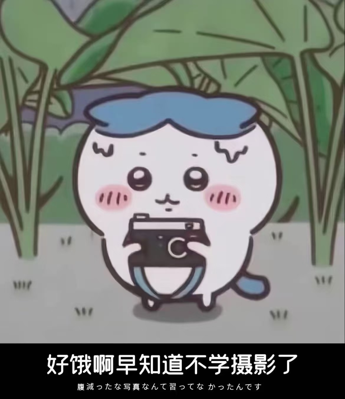 vivo首款手持云台相机vivo Pocket项目实施已超半年，目标定到2026