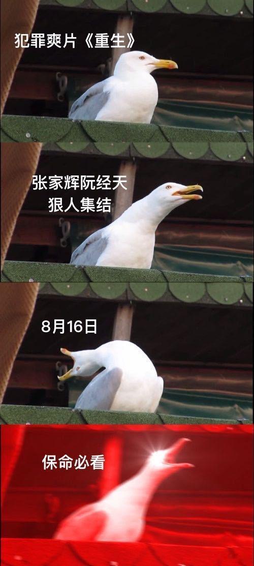 #张家辉阮经天新片全员阴谋家# 预告我都不知道循环播放多少遍了，确实是有那么一瞬