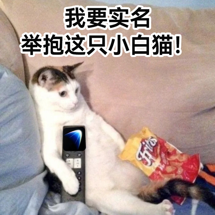 发现一种很新的撸猫方式给自家小猫在灵光办电子户口本，疫苗绝育、驱虫时间一键记录，