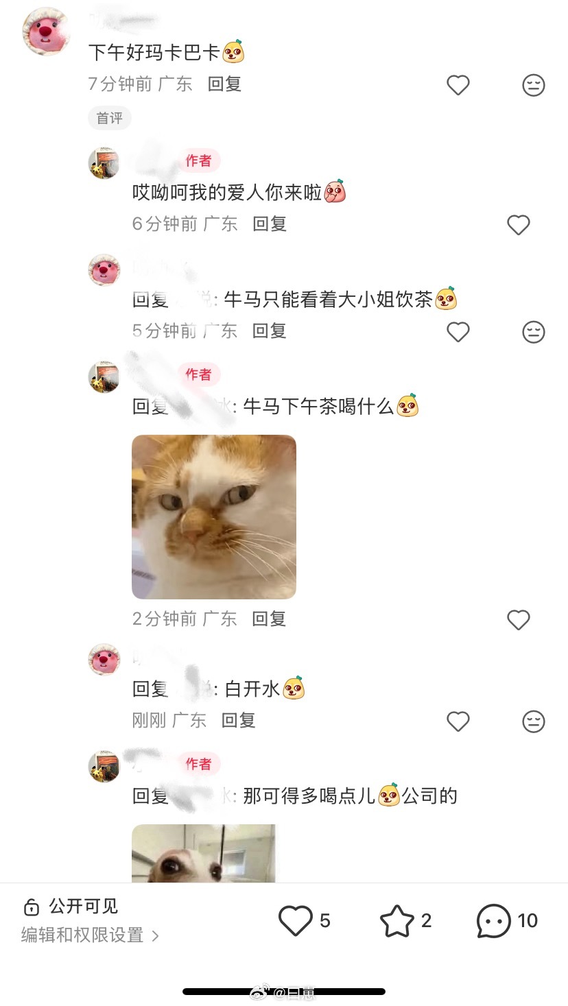 她没关注我 却能秒评我也不知道怎么就多了一个互联网爱人 天天互掐（我不认识她哈哈