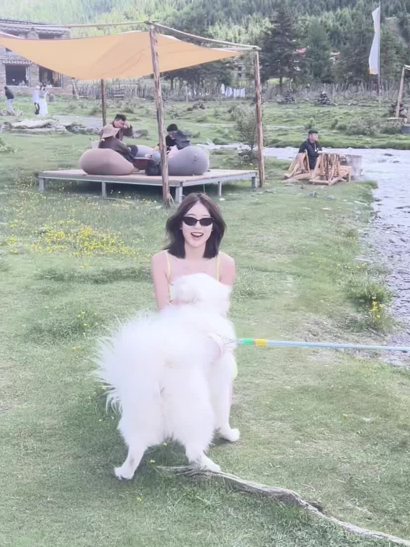 👒绿草与小狗