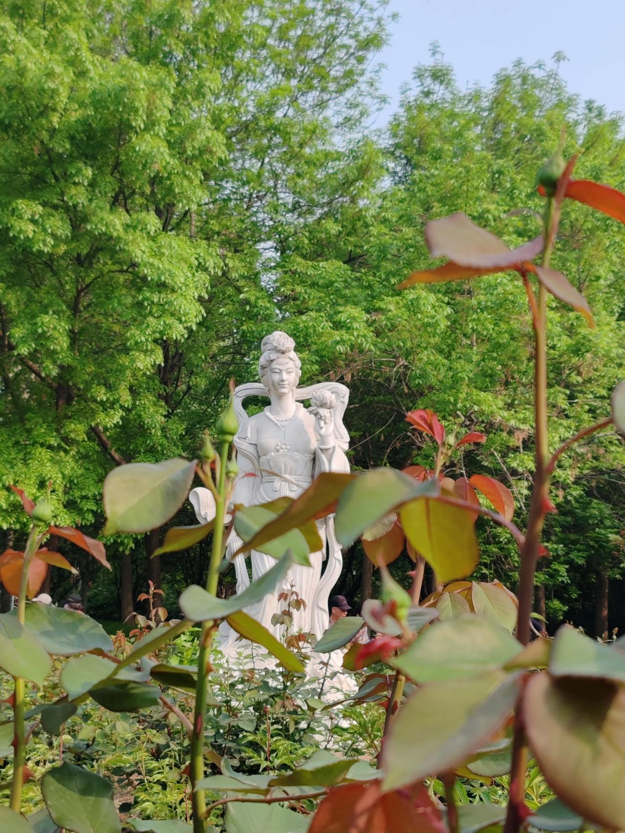 春日生活打卡季春日随手拍于丰台花园。