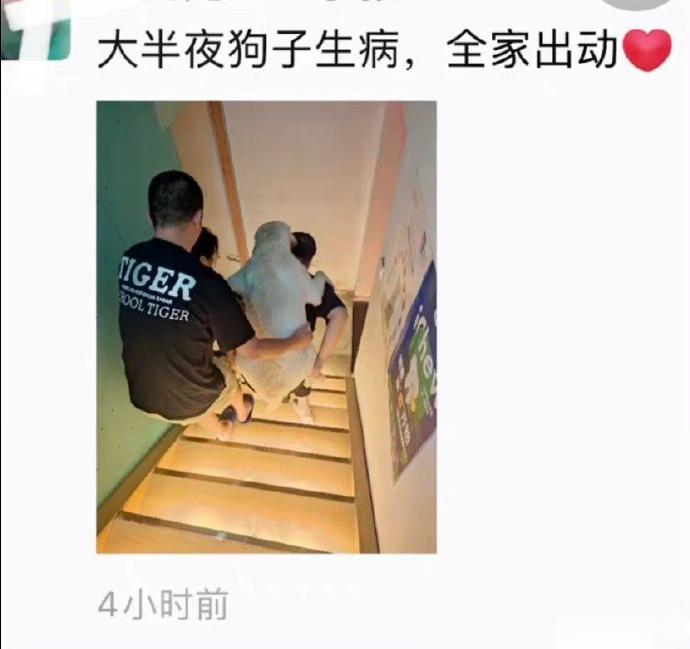 这届奇葩真的太多了，笑不过来了#笑一下# ​​​