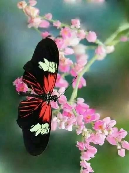 这一产品亮相震撼春晚，节后相关板块及个股值得关注！
春晚上的机器人，已成为热议话