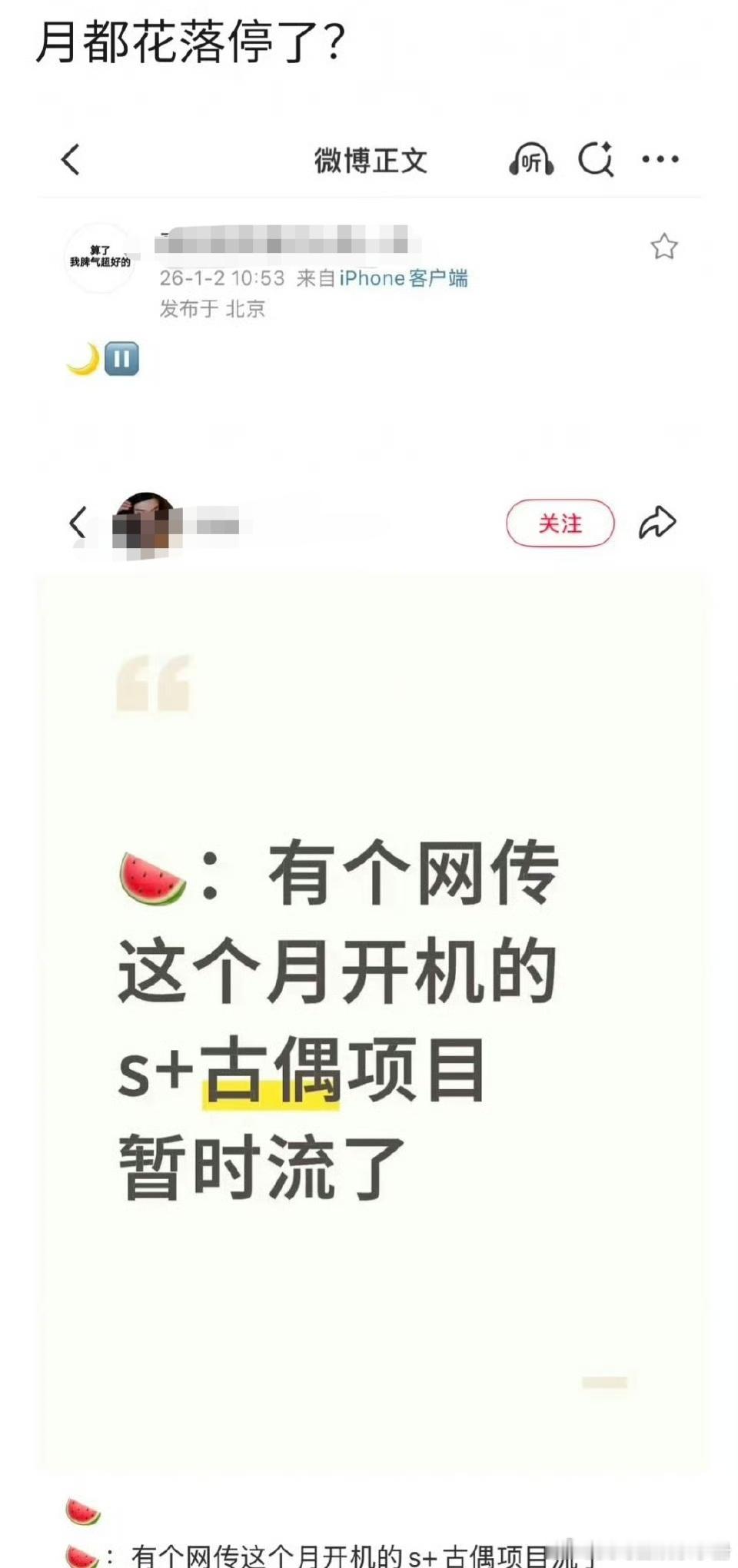 🍉网传丁禹兮《月都花落》暂停了？ 