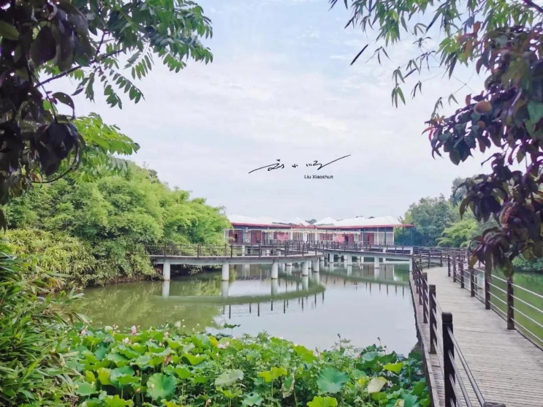 河南省唯一的“南方城市”，虽然属于河南，很多人却觉得更像湖北？

这里是刘小顺的