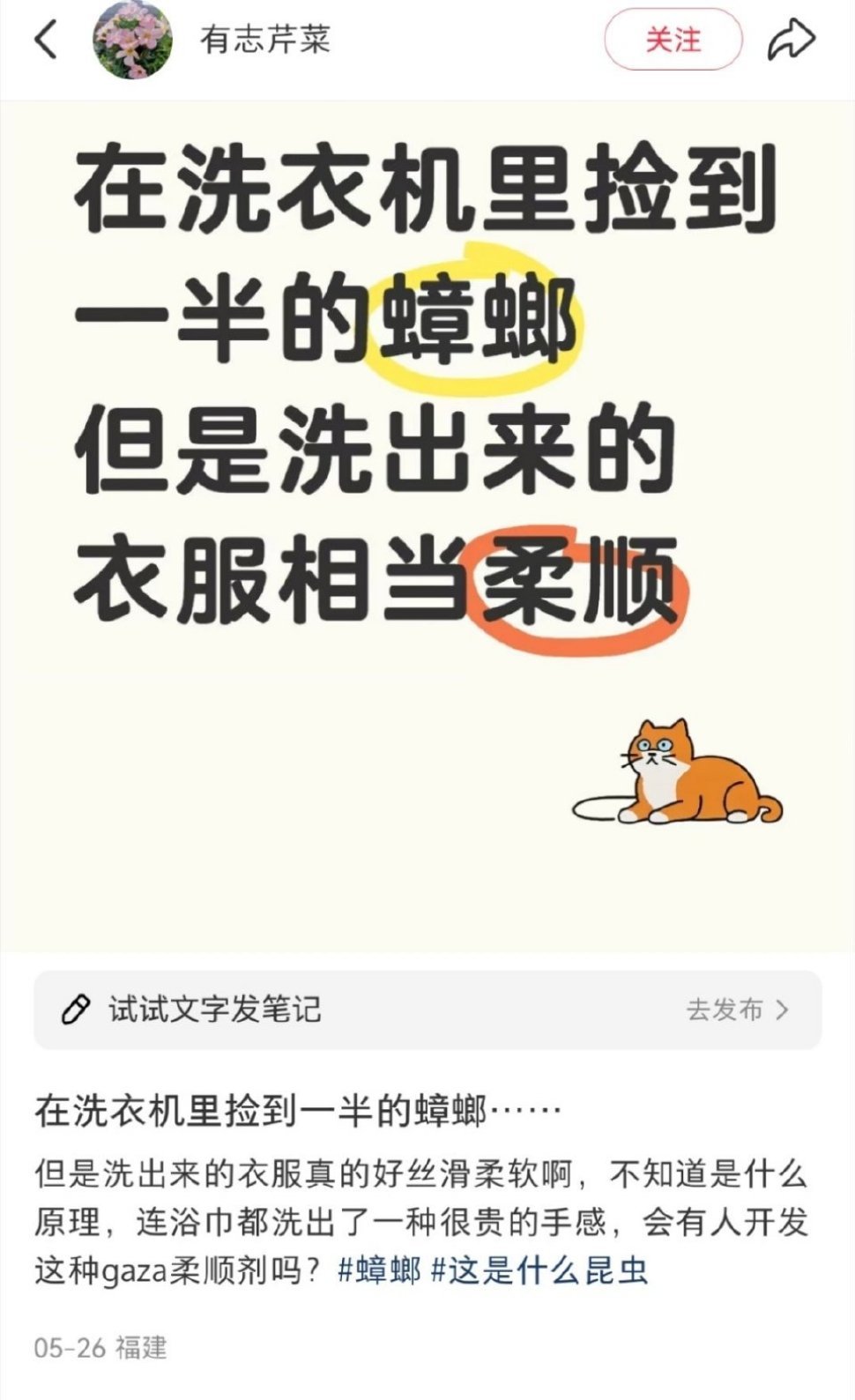 我在网上都看到了些什么？ ​​​