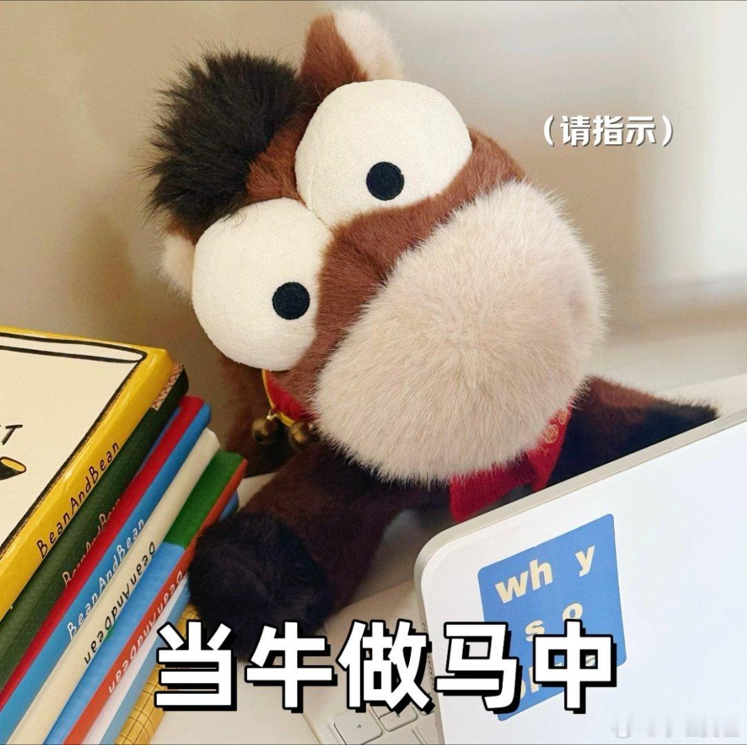 在一家公司呆五年的真实感受一般在一家公司呆的超过两年，就会习惯且适应这个公司的各