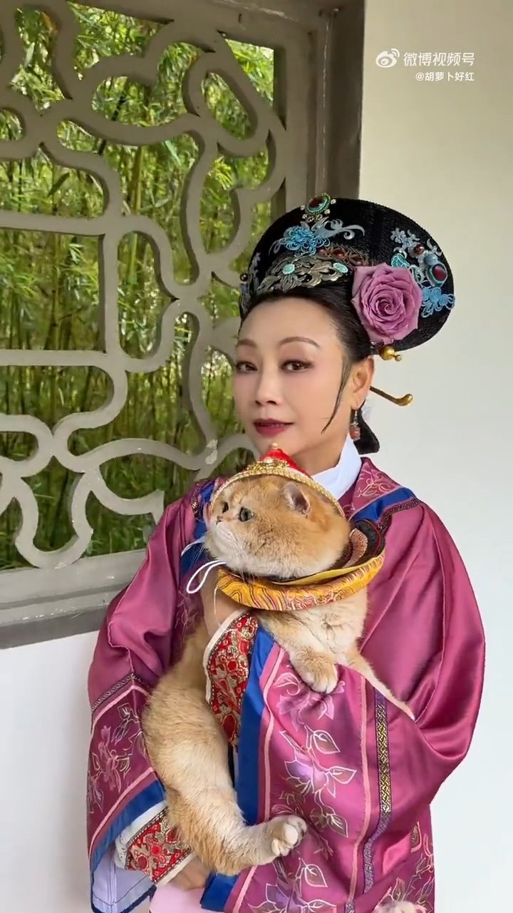 端妃和大橘终于有亲密戏了甄嬛传十级学者狂喜！剧里端妃守了那么久孤寂，线下直接抱着
