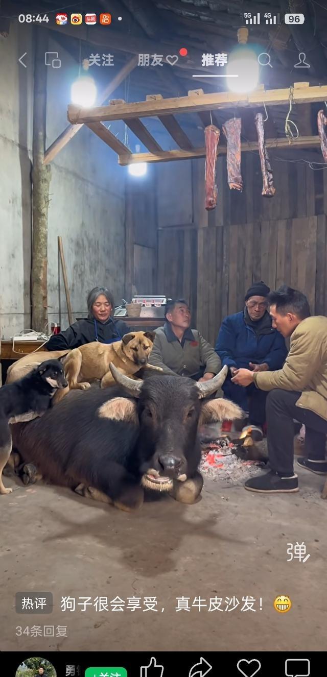 纽约时报曾发文称：中国的经济极有可能永远不会超过美国。今天的中国拥有的是一种“脆