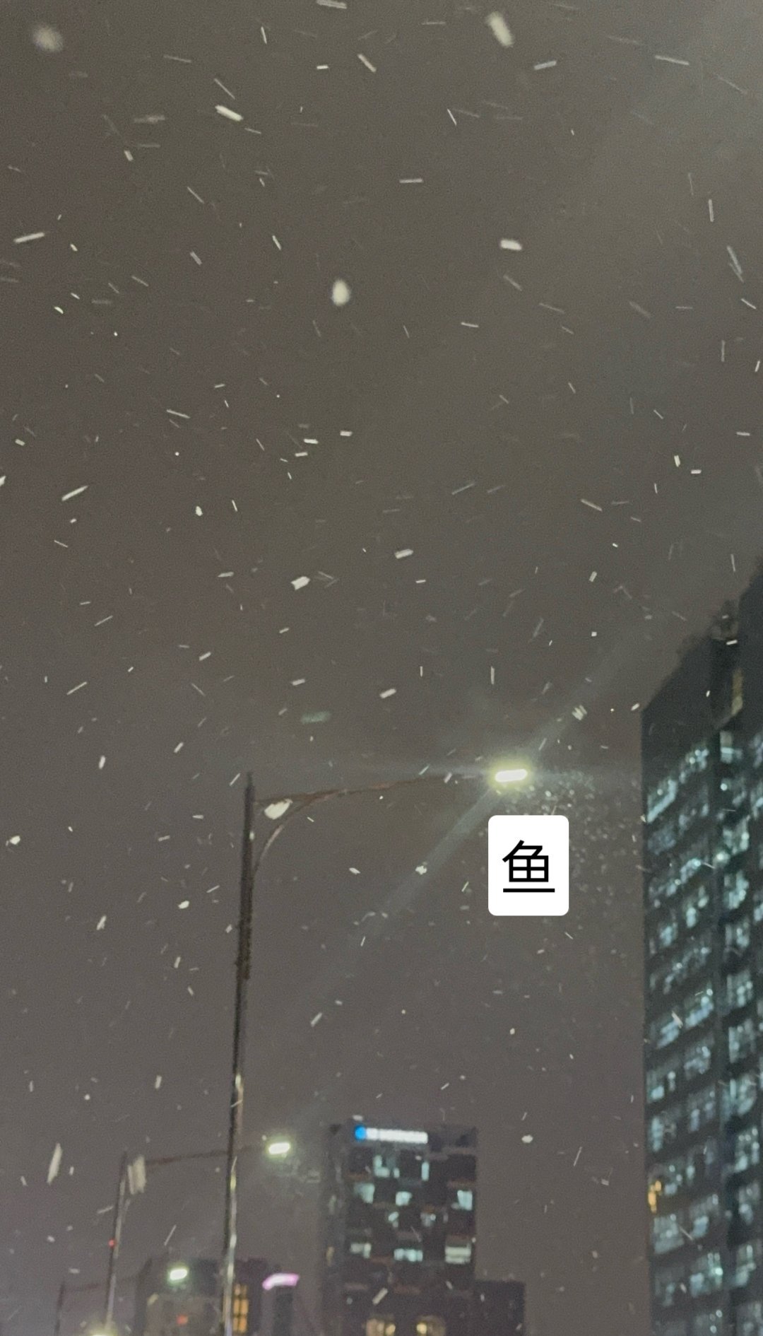 今年第一次见雪❄️ 