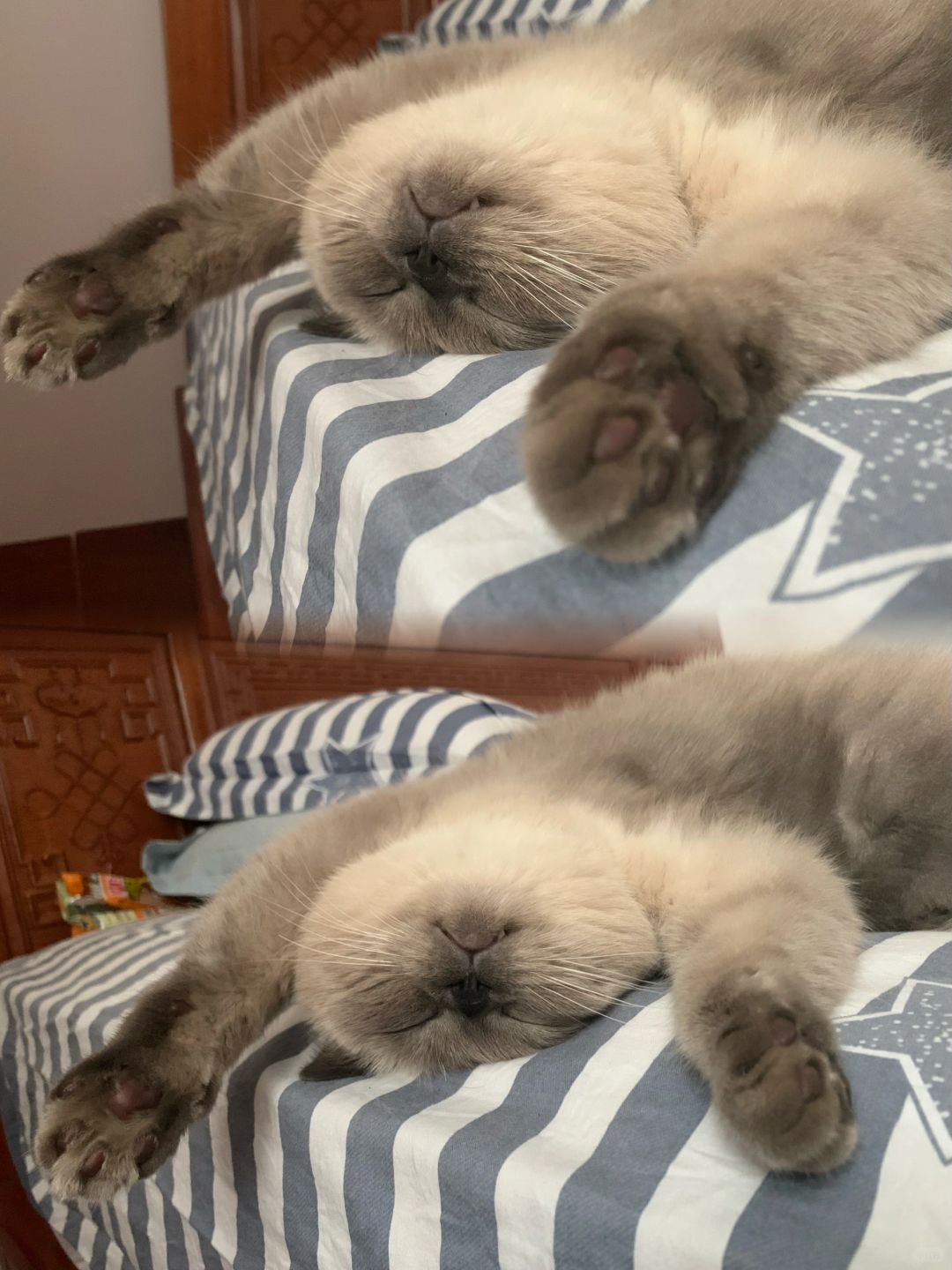 他到处去旅行，在哪都能睡的很香