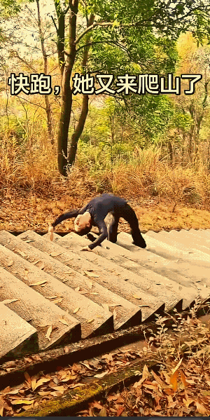 原认为是机器狗爬山呢，这么快！谁知是一位女子。
正常爬山的人，都有可能爬不到这么