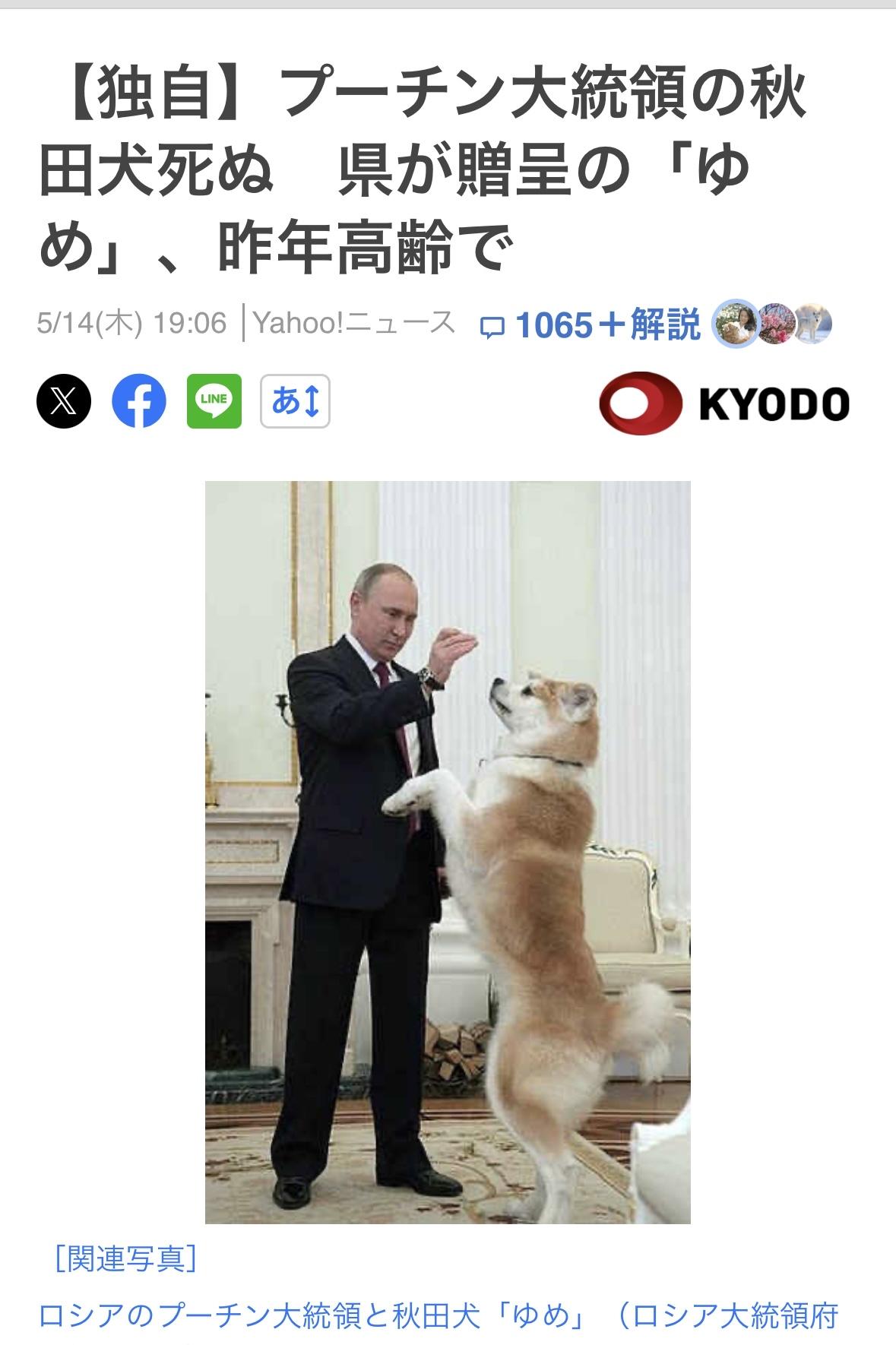 14日据【莫斯科共同社】报道，2012年秋田县为了感谢俄罗斯在东日本大地震后提供
