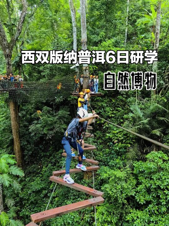 西双版纳普洱已回｜带娃参加研学营小众深度