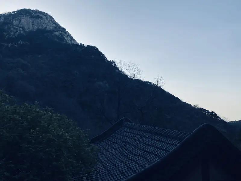 山静林深鸟语柔，径随溪转碧潭悠。
独栖石上忘时久，岂晓尘寰几度秋。
      