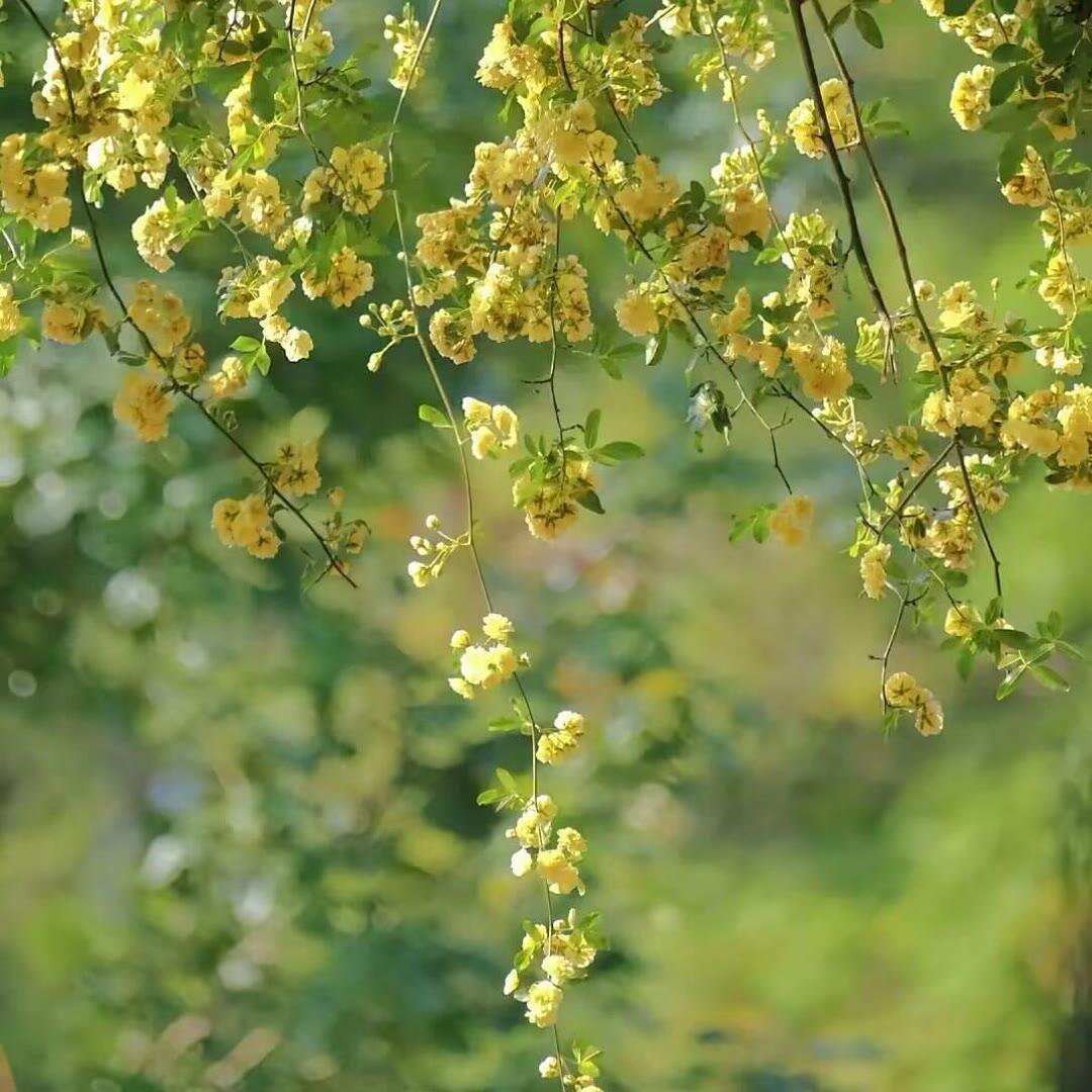 生命不息，奋斗不止！只要相信，只要坚持，只要你真的是用生命在热爱，那一定是天赋使