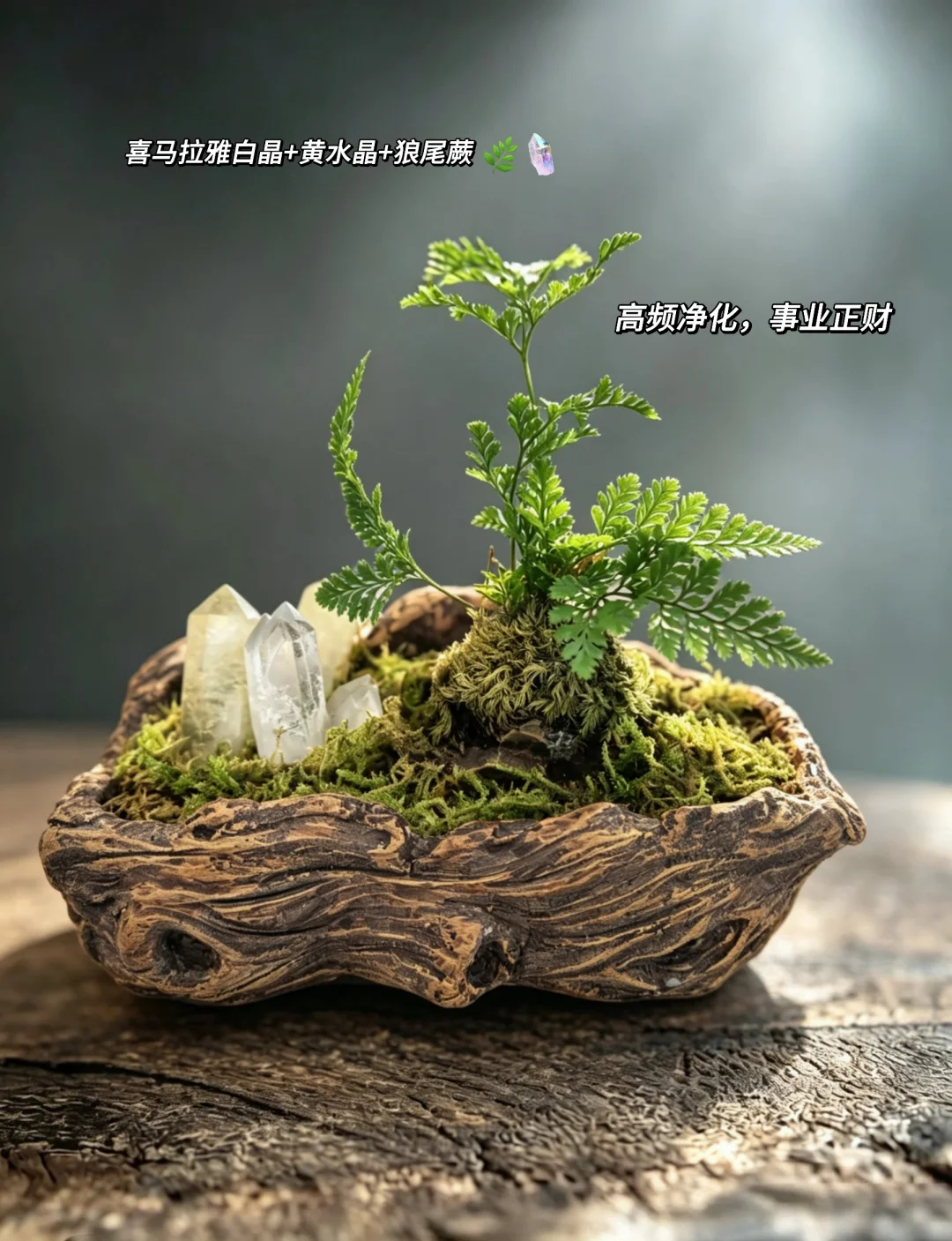 雾敛于木盆方寸 春日不必奔赴繁花满枝