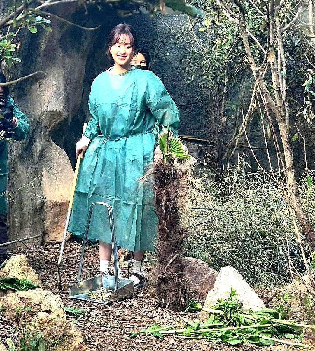 3.2亿播放把滤镜摔碎

沈月穿防护服喂鹿，镜头里全是汗印和痘印，抖音却炸锅。