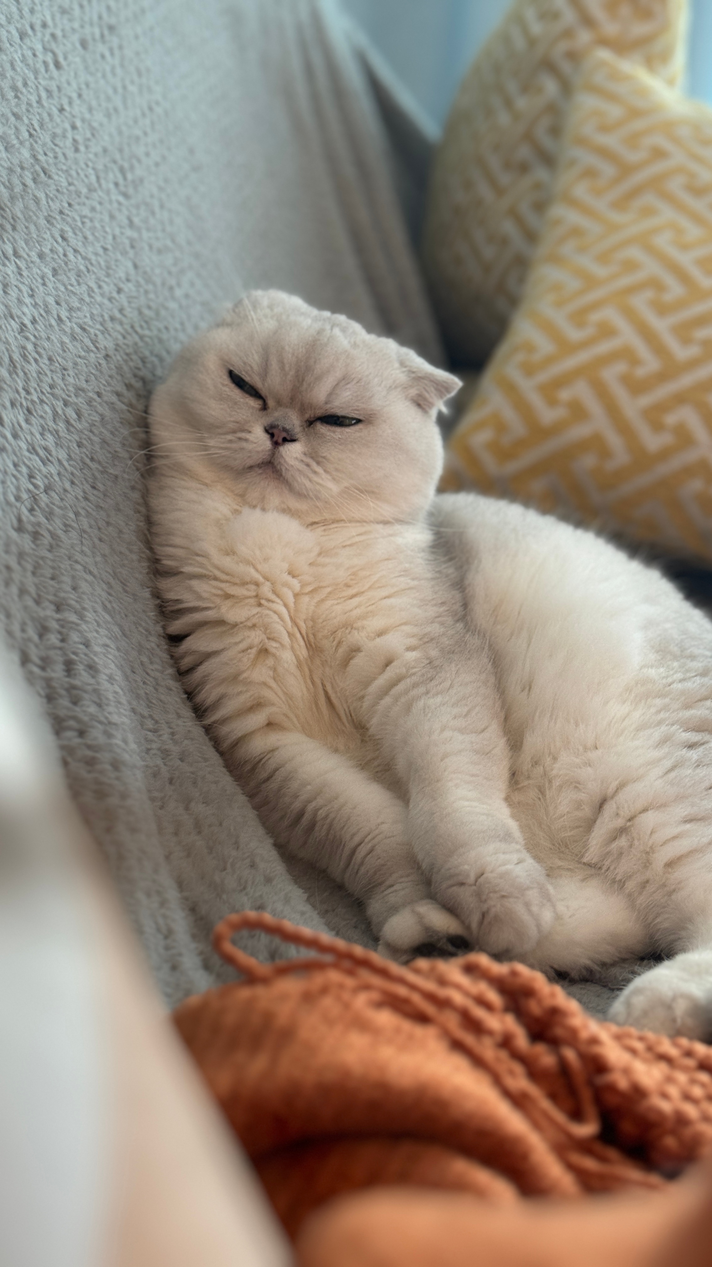 Sunday～ ​​​