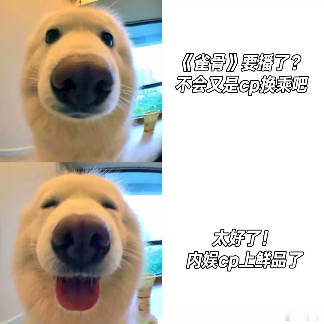 雀骨路过一对嗑一对雀骨 从没见过一部剧cp密度这么高，雀骨随便同框两个人都自带拉