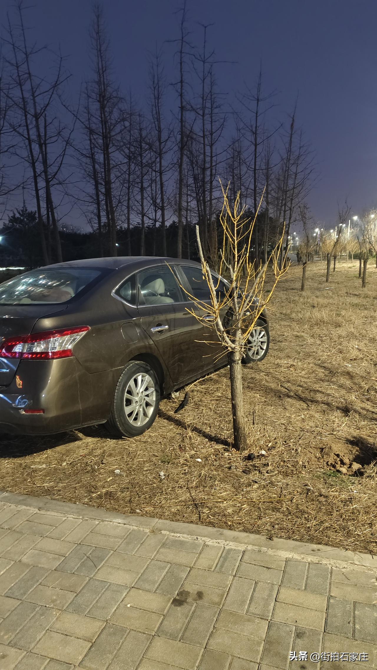 吐槽石家庄某些车主，就喜欢违停，压绿化带！
这是春天，小草发芽的时候，这时候最该