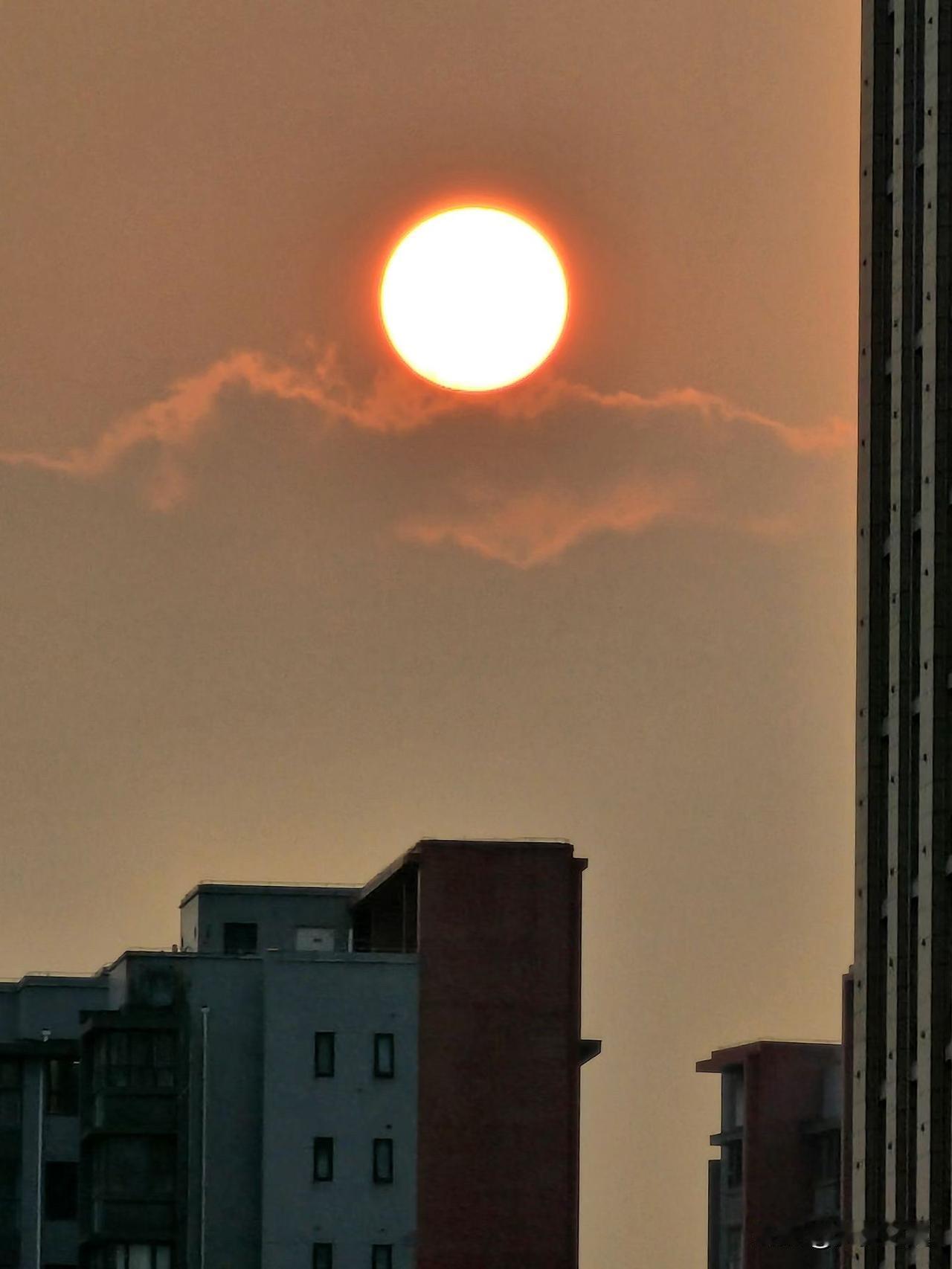 【小对联】
上：天子；
下：……？